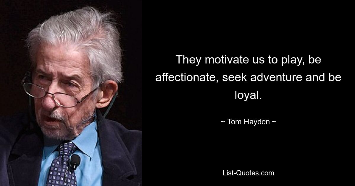 They motivate us to play, be affectionate, seek adventure and be loyal. — © Tom Hayden