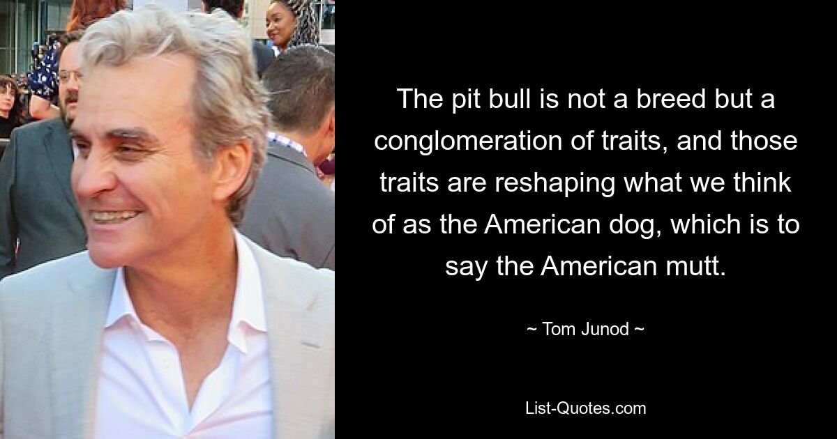 The pit bull is not a breed but a conglomeration of traits, and those traits are reshaping what we think of as the American dog, which is to say the American mutt. — © Tom Junod