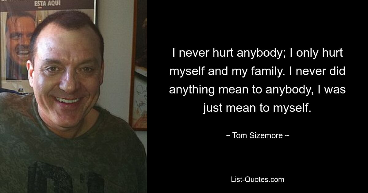 I never hurt anybody; I only hurt myself and my family. I never did anything mean to anybody, I was just mean to myself. — © Tom Sizemore