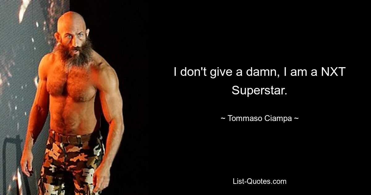 I don't give a damn, I am a NXT Superstar. — © Tommaso Ciampa