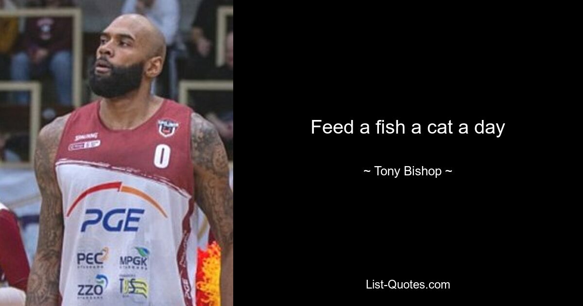 Feed a fish a cat a day — © Tony Bishop