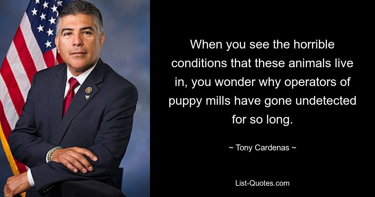 When you see the horrible conditions that these animals live in, you wonder why operators of puppy mills have gone undetected for so long. — © Tony Cardenas