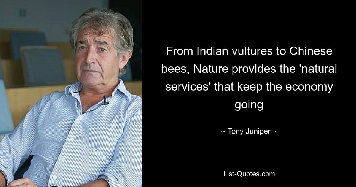 From Indian vultures to Chinese bees, Nature provides the 'natural services' that keep the economy going — © Tony Juniper