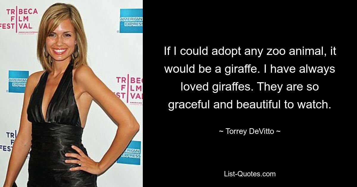 If I could adopt any zoo animal, it would be a giraffe. I have always loved giraffes. They are so graceful and beautiful to watch. — © Torrey DeVitto