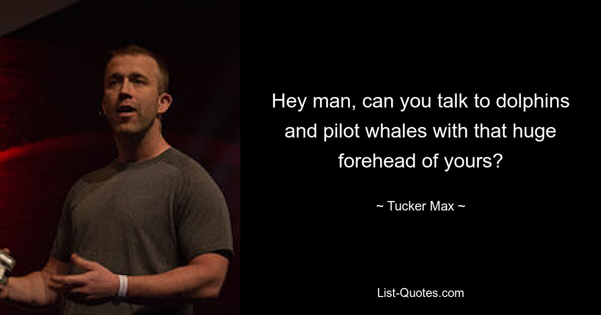 Hey man, can you talk to dolphins and pilot whales with that huge forehead of yours? — © Tucker Max