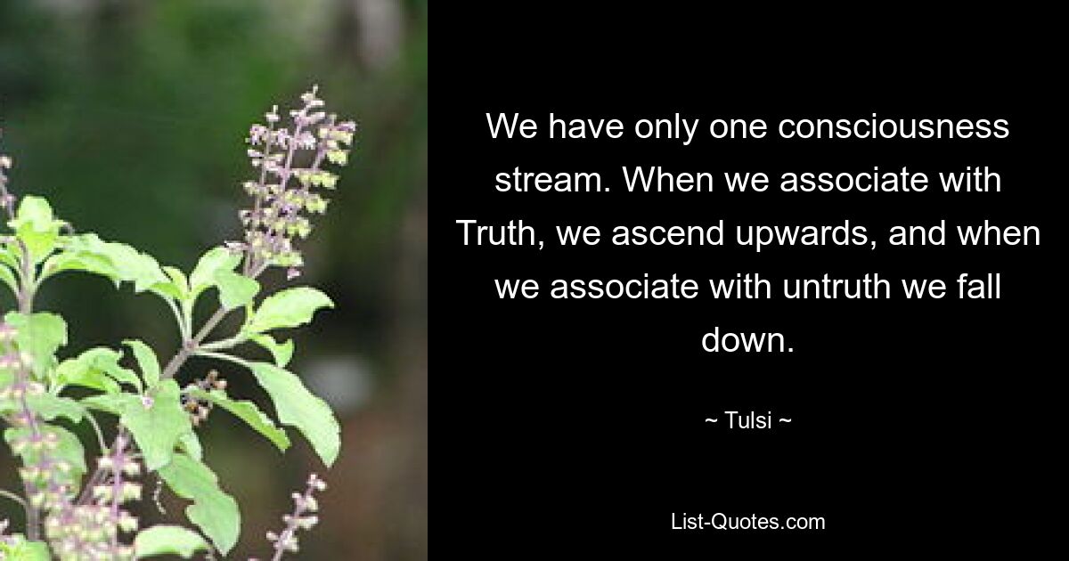 We have only one consciousness stream. When we associate with Truth, we ascend upwards, and when we associate with untruth we fall down. — © Tulsi