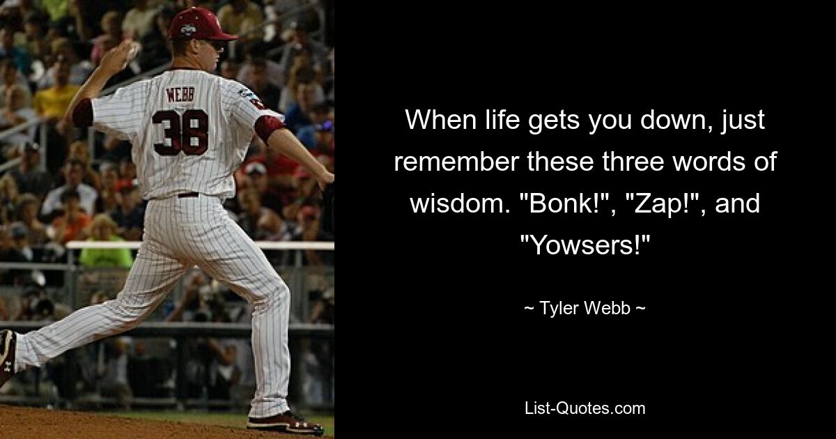 When life gets you down, just remember these three words of wisdom. "Bonk!", "Zap!", and "Yowsers!" — © Tyler Webb