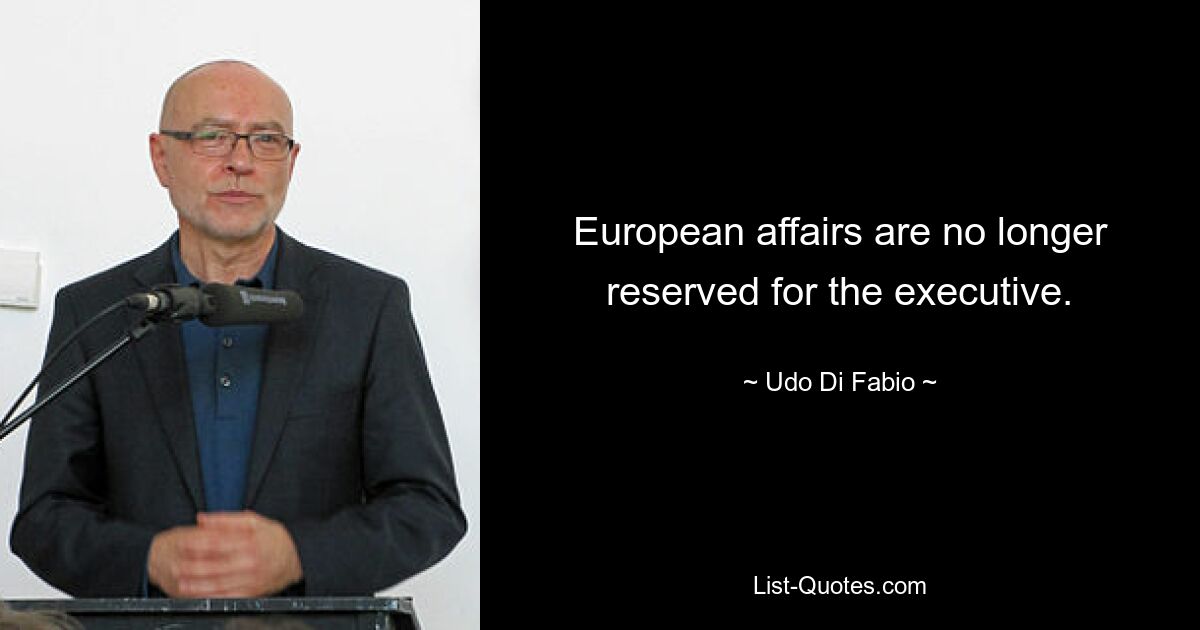 European affairs are no longer reserved for the executive. — © Udo Di Fabio