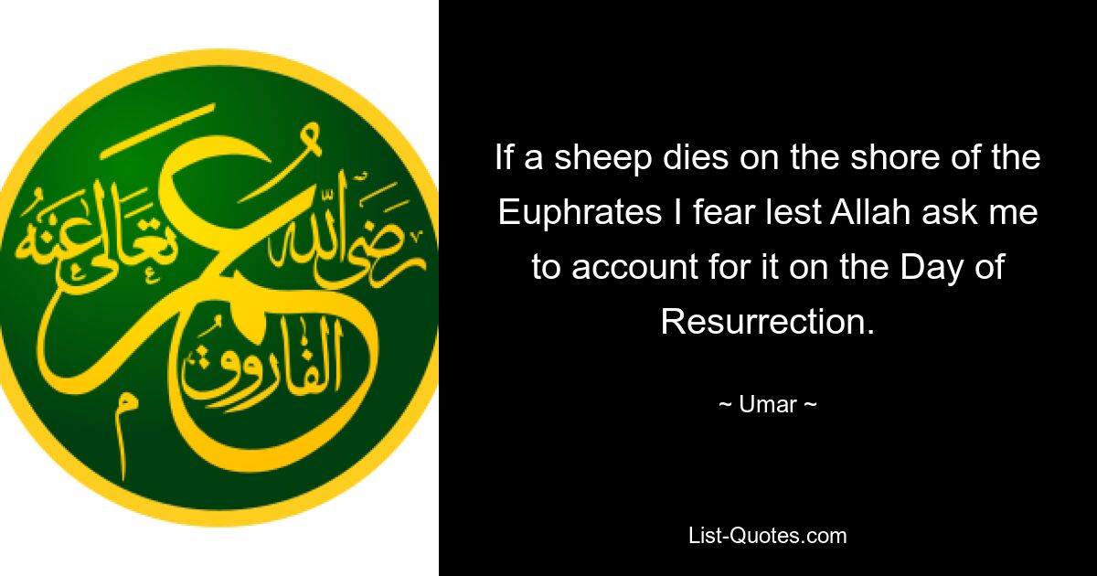 If a sheep dies on the shore of the Euphrates I fear lest Allah ask me to account for it on the Day of Resurrection. — © Umar