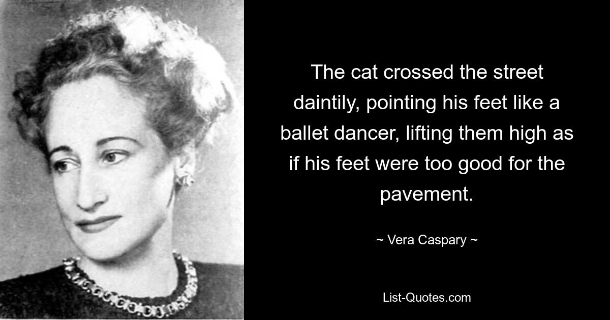 The cat crossed the street daintily, pointing his feet like a ballet dancer, lifting them high as if his feet were too good for the pavement. — © Vera Caspary