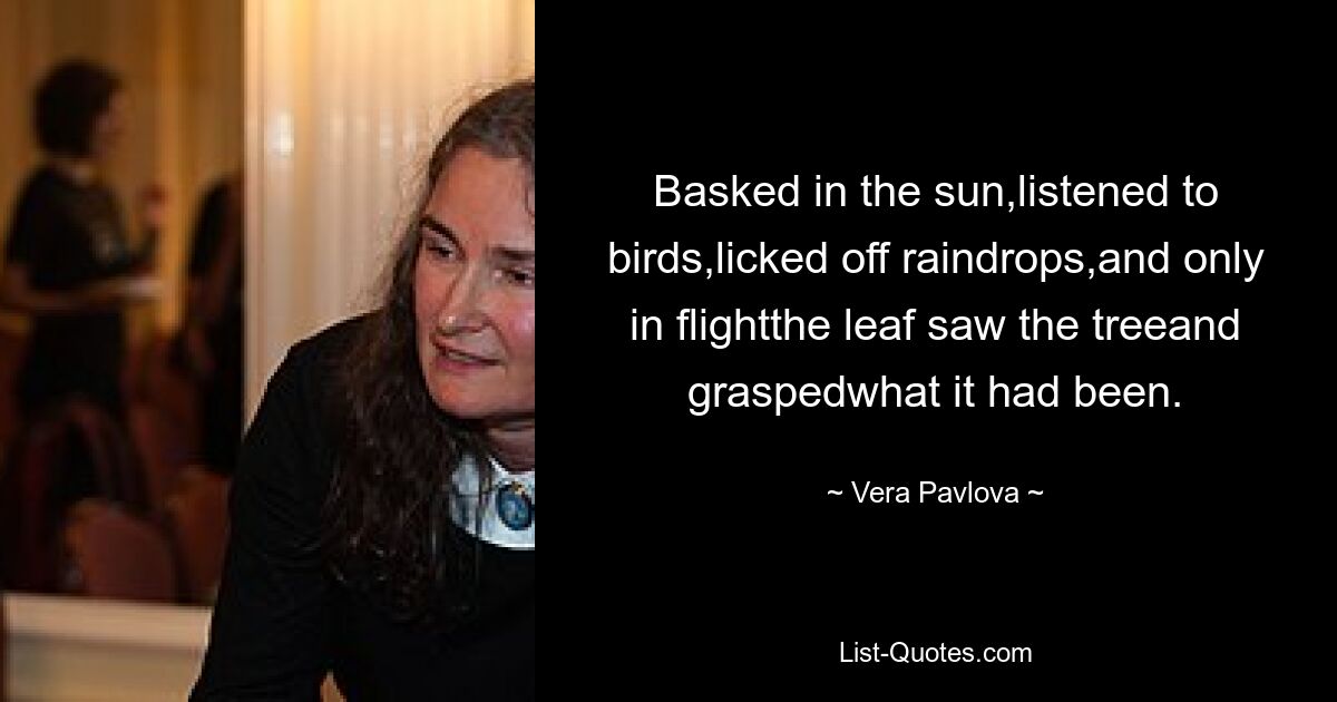 Basked in the sun,listened to birds,licked off raindrops,and only in flightthe leaf saw the treeand graspedwhat it had been. — © Vera Pavlova