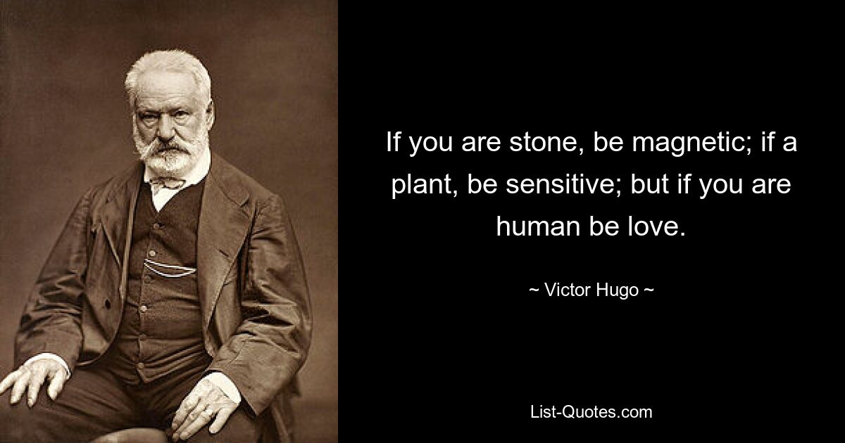 If you are stone, be magnetic; if a plant, be sensitive; but if you are human be love. — © Victor Hugo