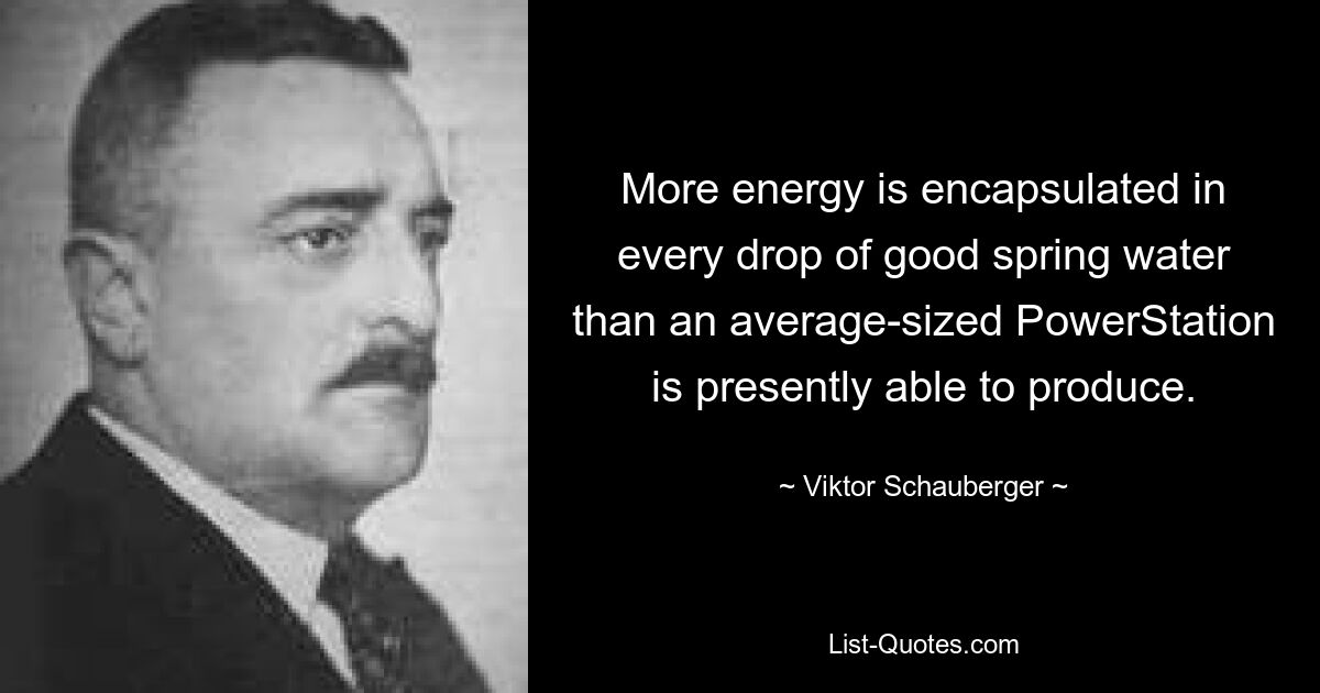 More energy is encapsulated in every drop of good spring water than an average-sized PowerStation is presently able to produce. — © Viktor Schauberger