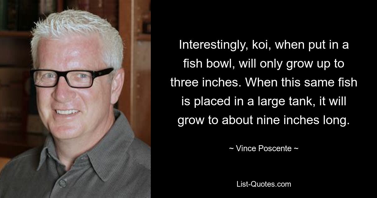 Interestingly, koi, when put in a fish bowl, will only grow up to three inches. When this same fish is placed in a large tank, it will grow to about nine inches long. — © Vince Poscente