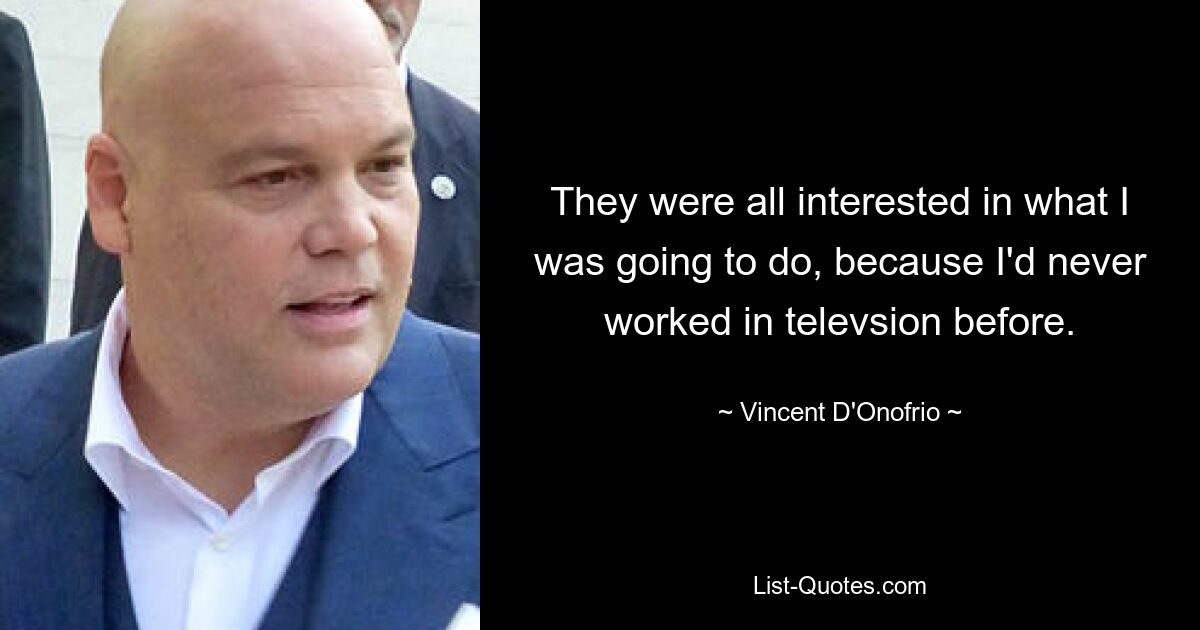 They were all interested in what I was going to do, because I'd never worked in televsion before. — © Vincent D'Onofrio