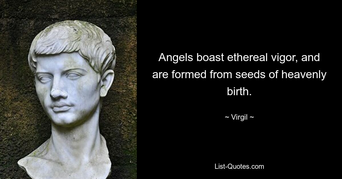 Angels boast ethereal vigor, and are formed from seeds of heavenly birth. — © Virgil