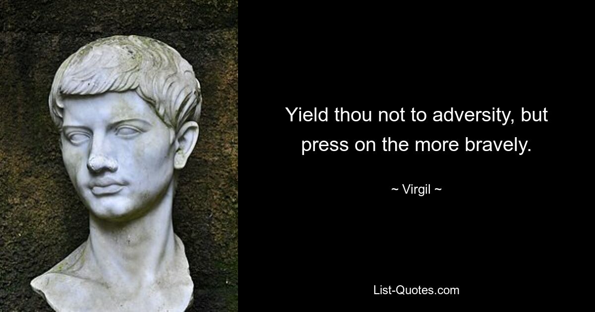 Yield thou not to adversity, but press on the more bravely. — © Virgil