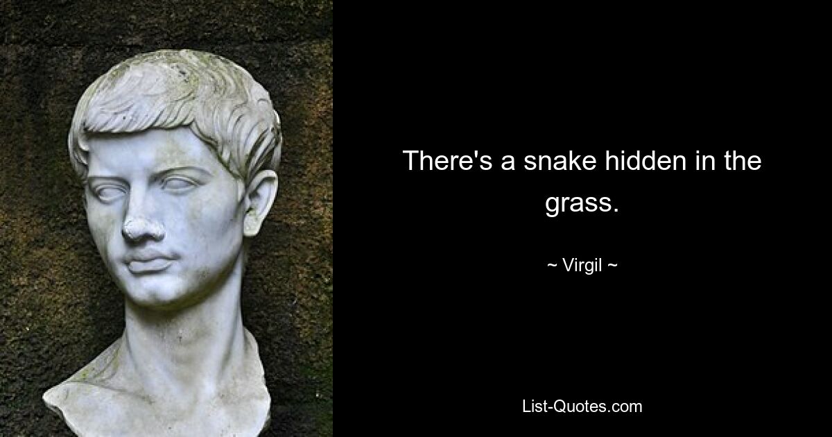 There's a snake hidden in the grass. — © Virgil