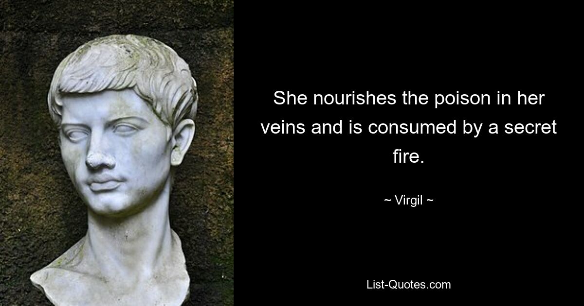 She nourishes the poison in her veins and is consumed by a secret fire. — © Virgil