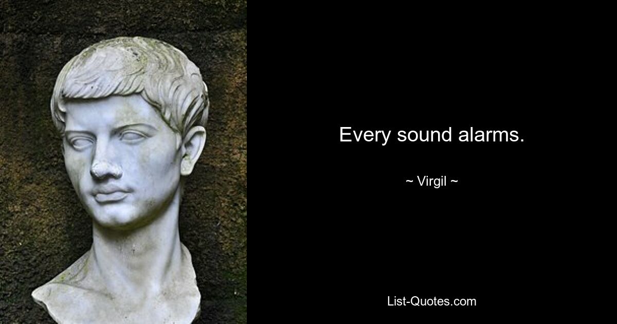 Every sound alarms. — © Virgil