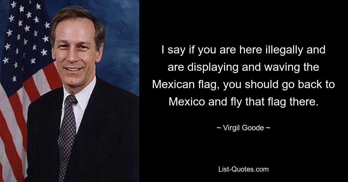 I say if you are here illegally and are displaying and waving the Mexican flag, you should go back to Mexico and fly that flag there. — © Virgil Goode