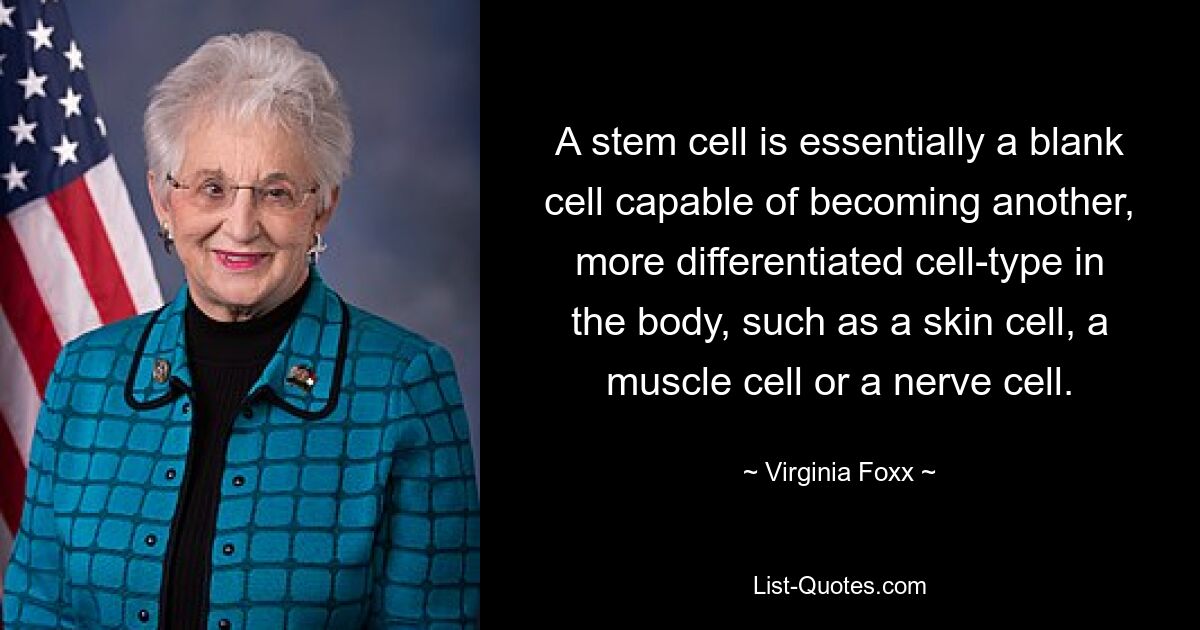 A stem cell is essentially a blank cell capable of becoming another, more differentiated cell-type in the body, such as a skin cell, a muscle cell or a nerve cell. — © Virginia Foxx