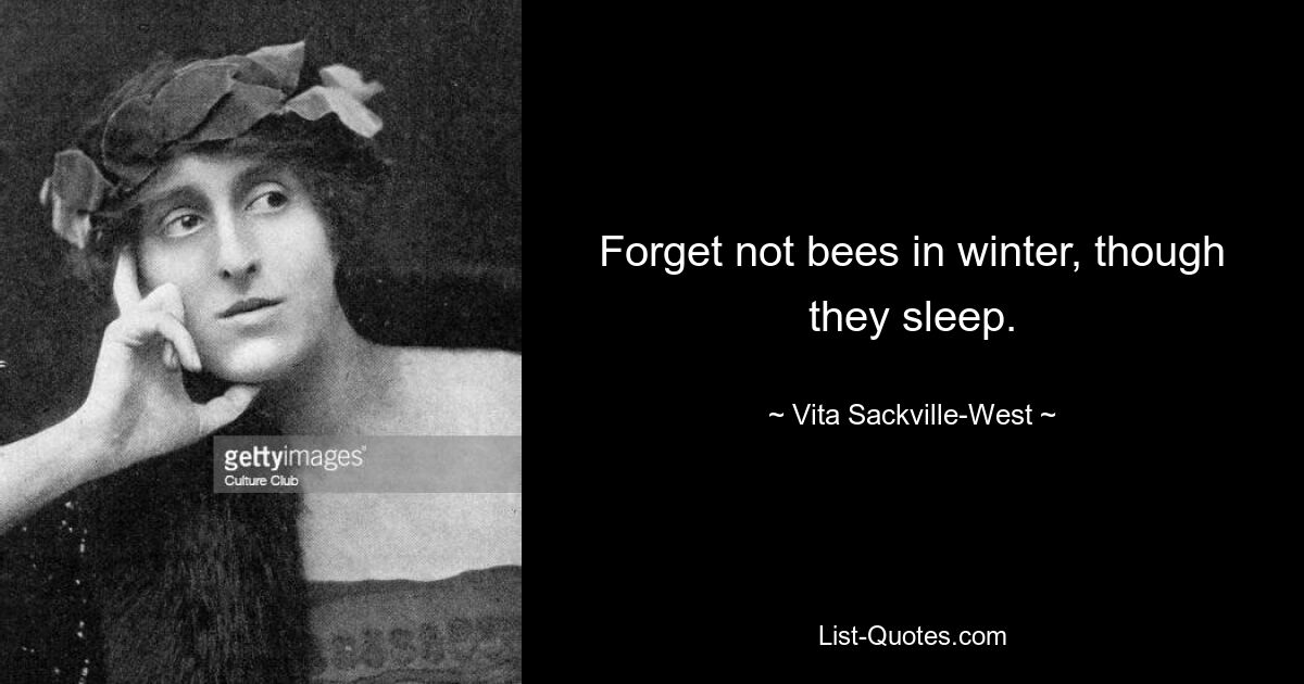 Forget not bees in winter, though they sleep. — © Vita Sackville-West