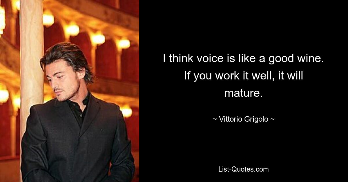 I think voice is like a good wine. If you work it well, it will mature. — © Vittorio Grigolo