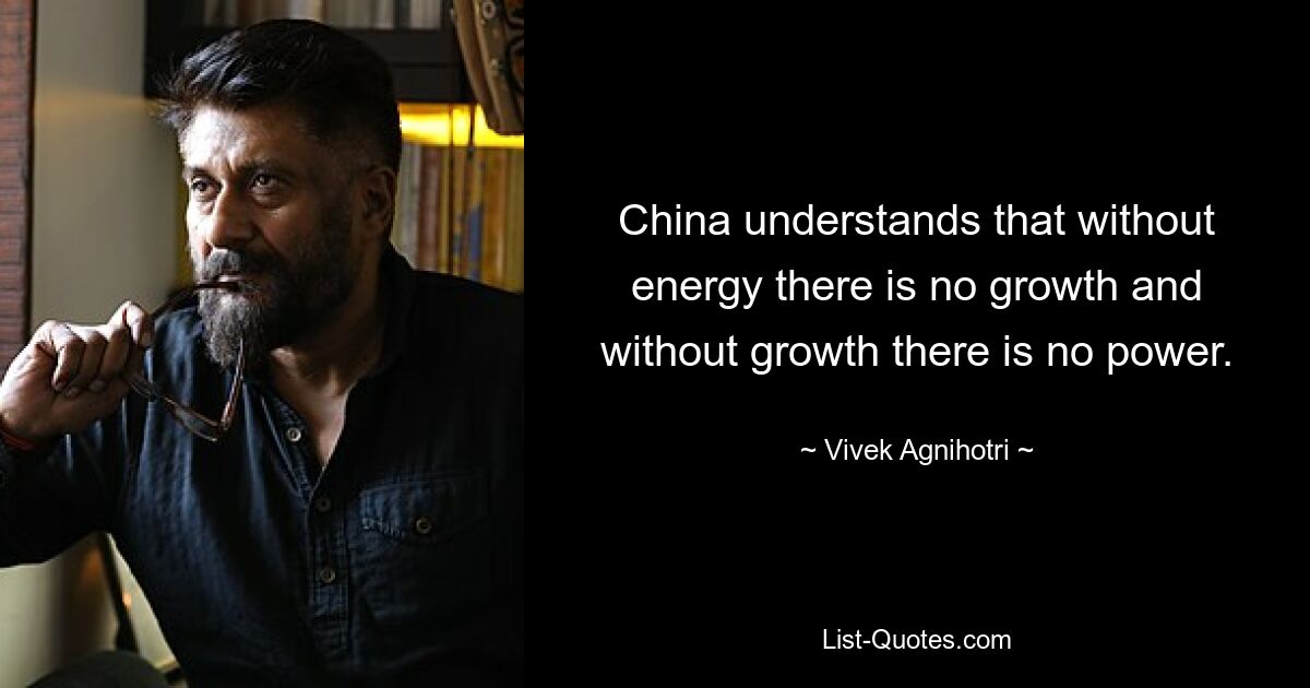 China understands that without energy there is no growth and without growth there is no power. — © Vivek Agnihotri