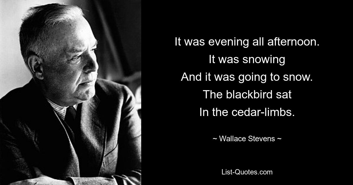 It was evening all afternoon.
It was snowing
And it was going to snow.
The blackbird sat
In the cedar-limbs. — © Wallace Stevens