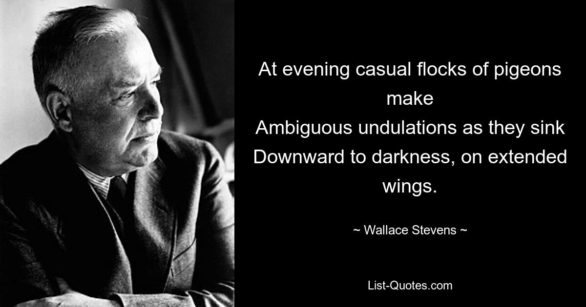 At evening casual flocks of pigeons make
Ambiguous undulations as they sink
Downward to darkness, on extended wings. — © Wallace Stevens