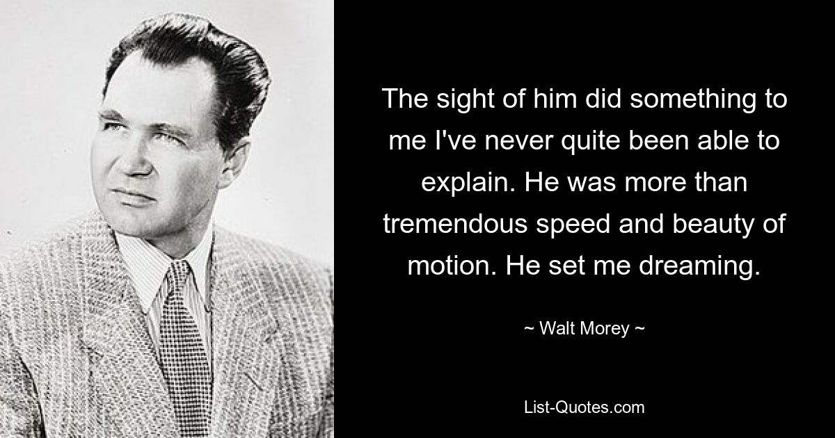 The sight of him did something to me I've never quite been able to explain. He was more than tremendous speed and beauty of motion. He set me dreaming. — © Walt Morey