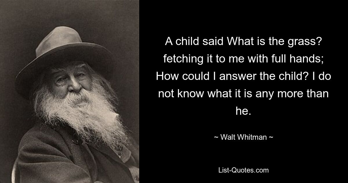 A child said What is the grass? fetching it to me with full hands; How could I answer the child? I do not know what it is any more than he. — © Walt Whitman