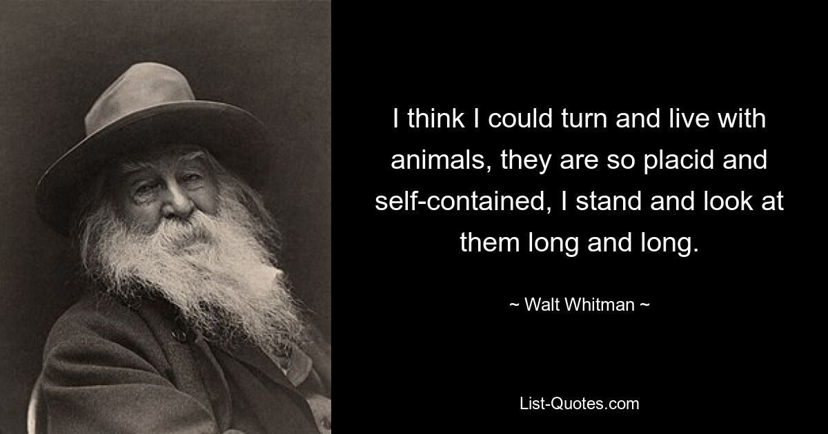 I think I could turn and live with animals, they are so placid and self-contained, I stand and look at them long and long. — © Walt Whitman