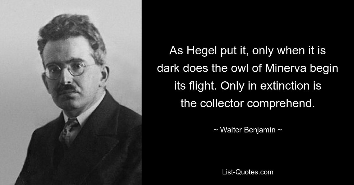 As Hegel put it, only when it is dark does the owl of Minerva begin its flight. Only in extinction is the collector comprehend. — © Walter Benjamin