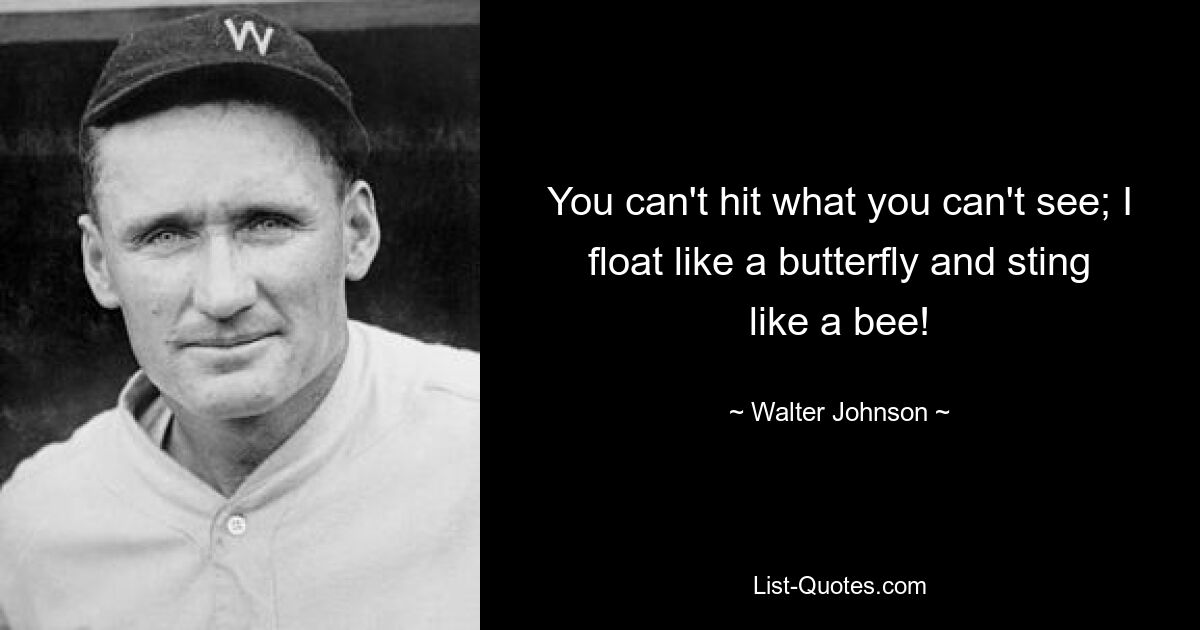 You can't hit what you can't see; I float like a butterfly and sting like a bee! — © Walter Johnson