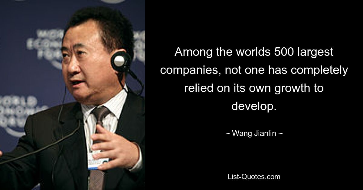 Among the worlds 500 largest companies, not one has completely relied on its own growth to develop. — © Wang Jianlin