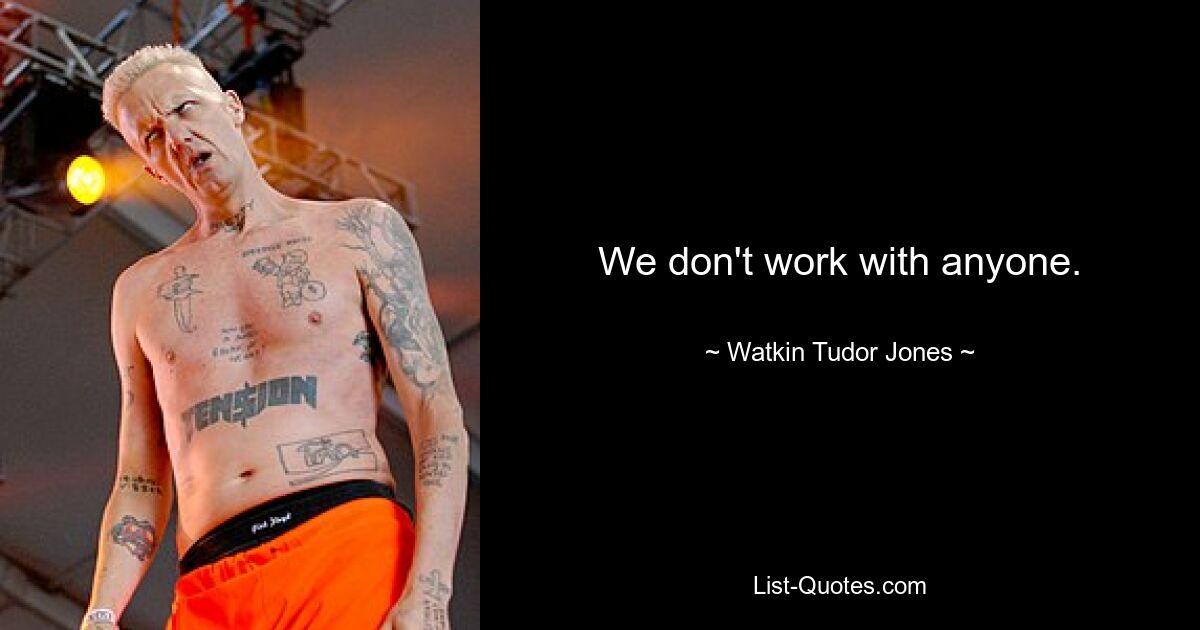 We don't work with anyone. — © Watkin Tudor Jones