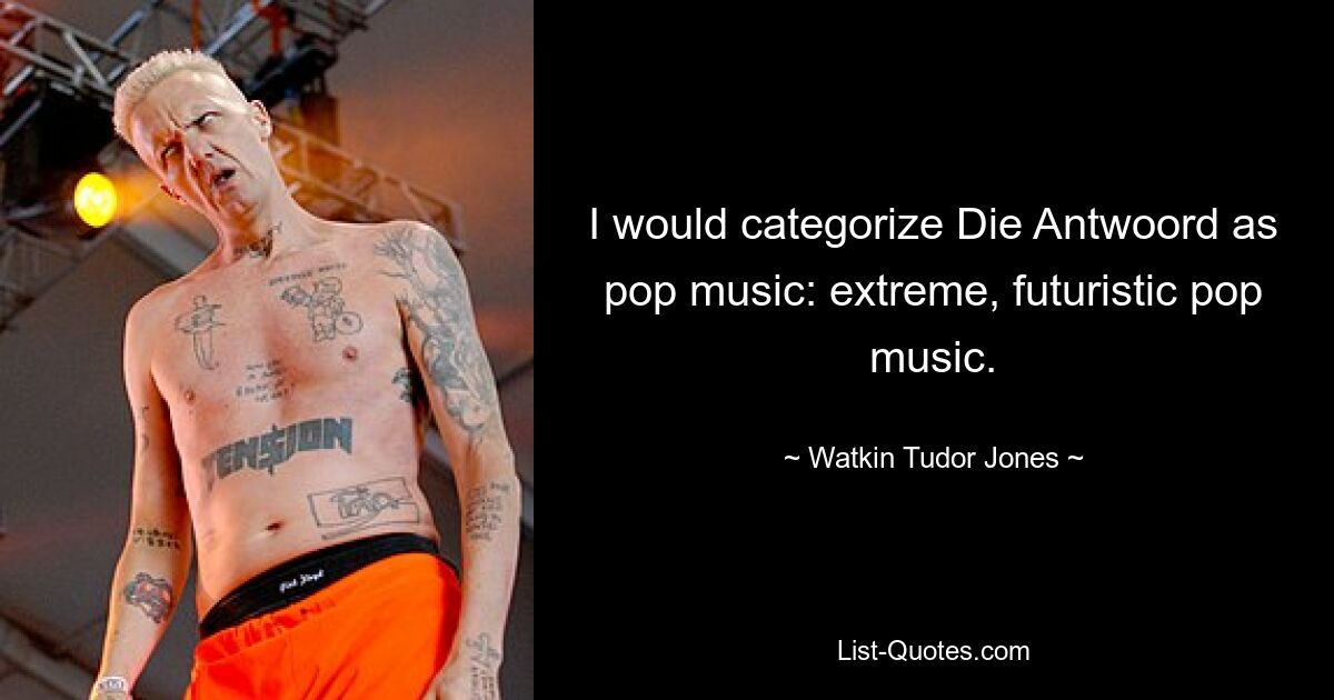 I would categorize Die Antwoord as pop music: extreme, futuristic pop music. — © Watkin Tudor Jones