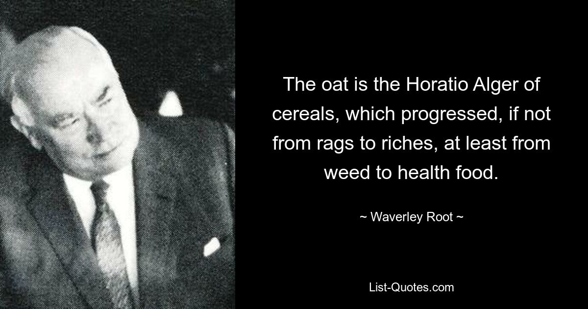 The oat is the Horatio Alger of cereals, which progressed, if not from rags to riches, at least from weed to health food. — © Waverley Root