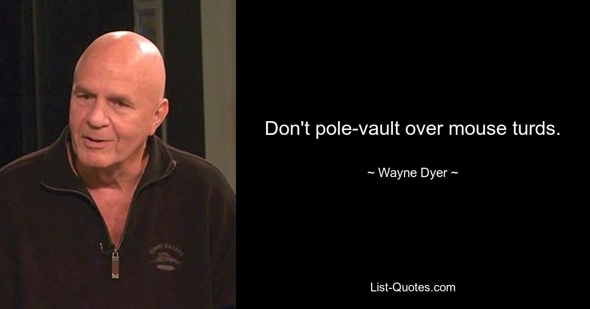 Don't pole-vault over mouse turds. — © Wayne Dyer