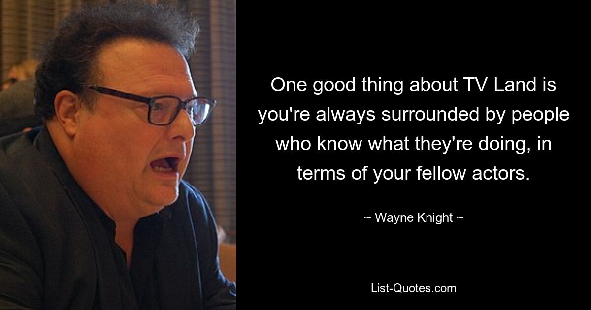 One good thing about TV Land is you're always surrounded by people who know what they're doing, in terms of your fellow actors. — © Wayne Knight