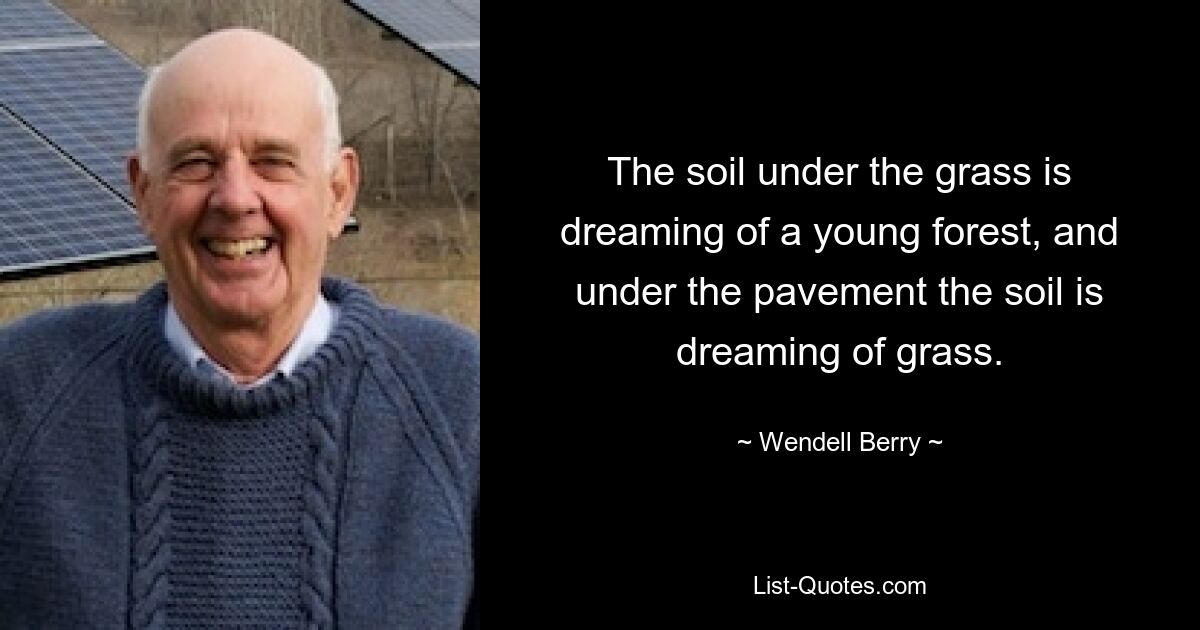 The soil under the grass is dreaming of a young forest, and under the pavement the soil is dreaming of grass. — © Wendell Berry