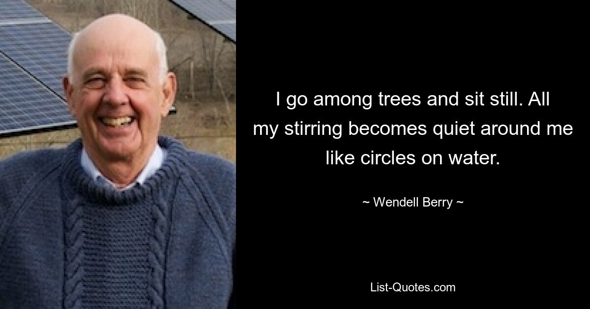 I go among trees and sit still. All my stirring becomes quiet around me like circles on water. — © Wendell Berry