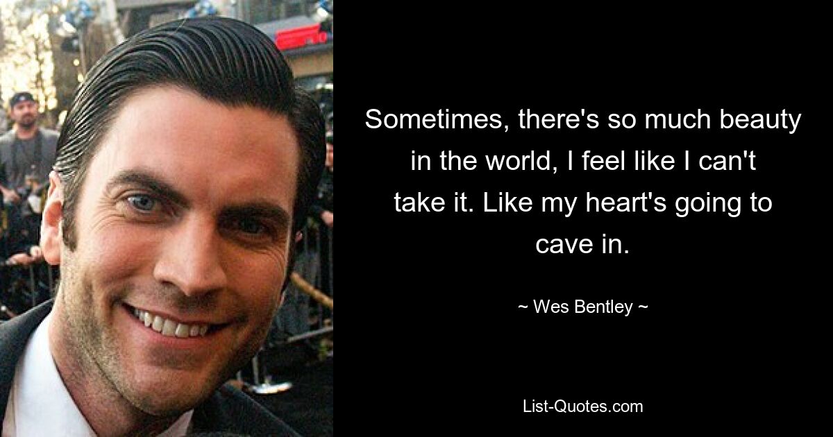 Sometimes, there's so much beauty in the world, I feel like I can't take it. Like my heart's going to cave in. — © Wes Bentley