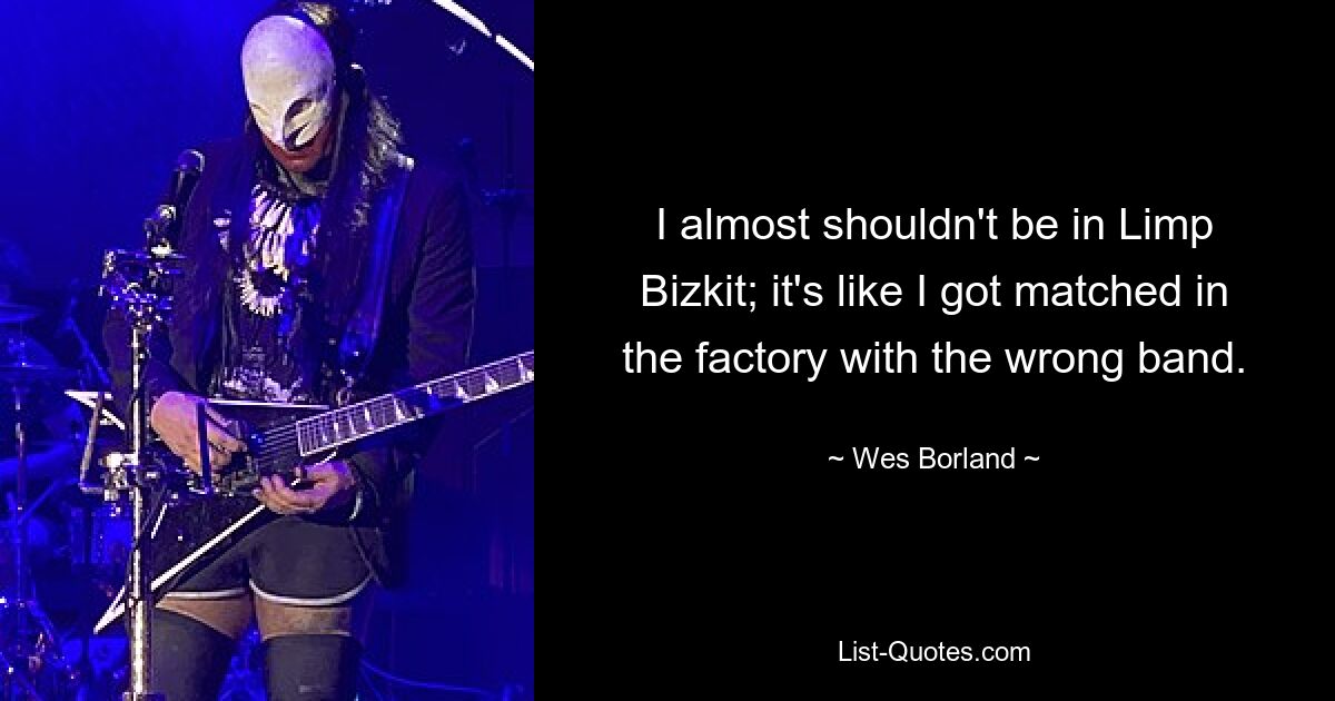 I almost shouldn't be in Limp Bizkit; it's like I got matched in the factory with the wrong band. — © Wes Borland