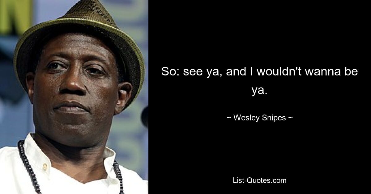 So: see ya, and I wouldn't wanna be ya. — © Wesley Snipes