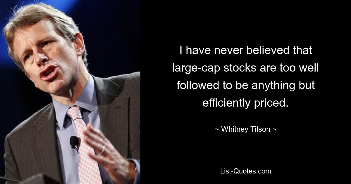 I have never believed that large-cap stocks are too well followed to be anything but efficiently priced. — © Whitney Tilson