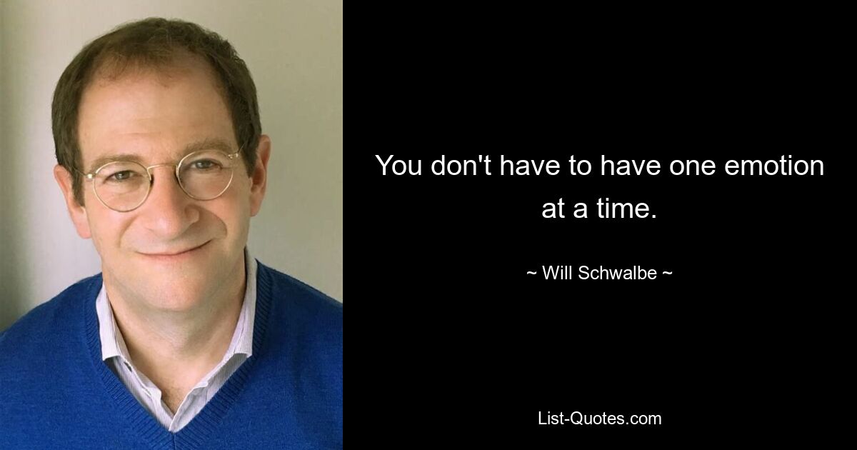 You don't have to have one emotion at a time. — © Will Schwalbe