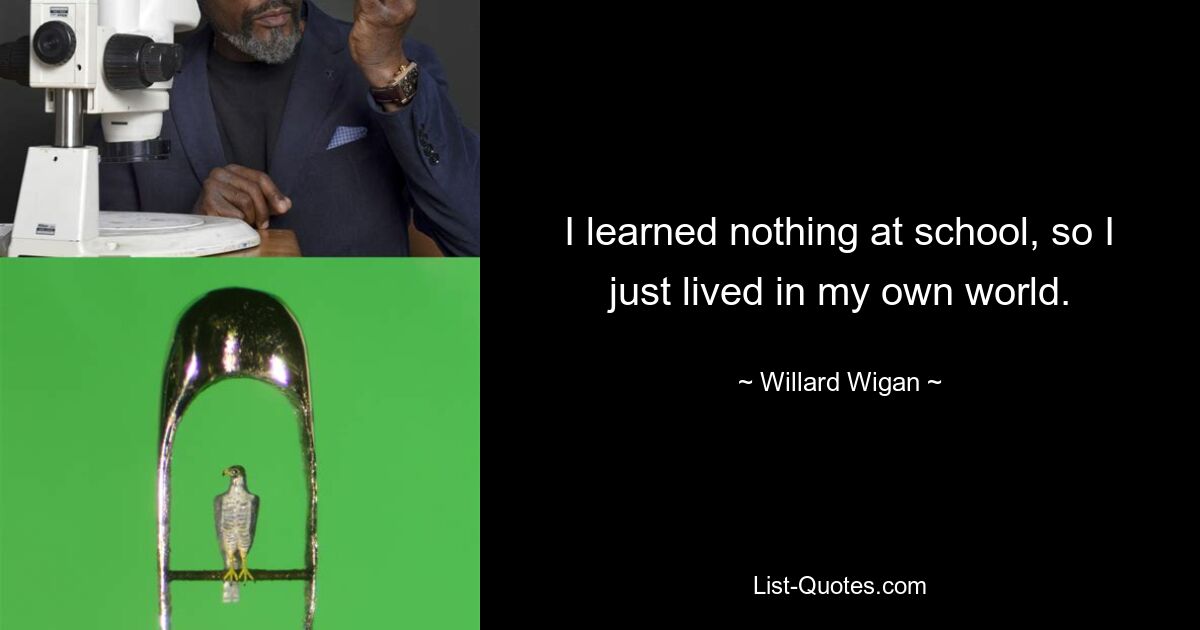 I learned nothing at school, so I just lived in my own world. — © Willard Wigan